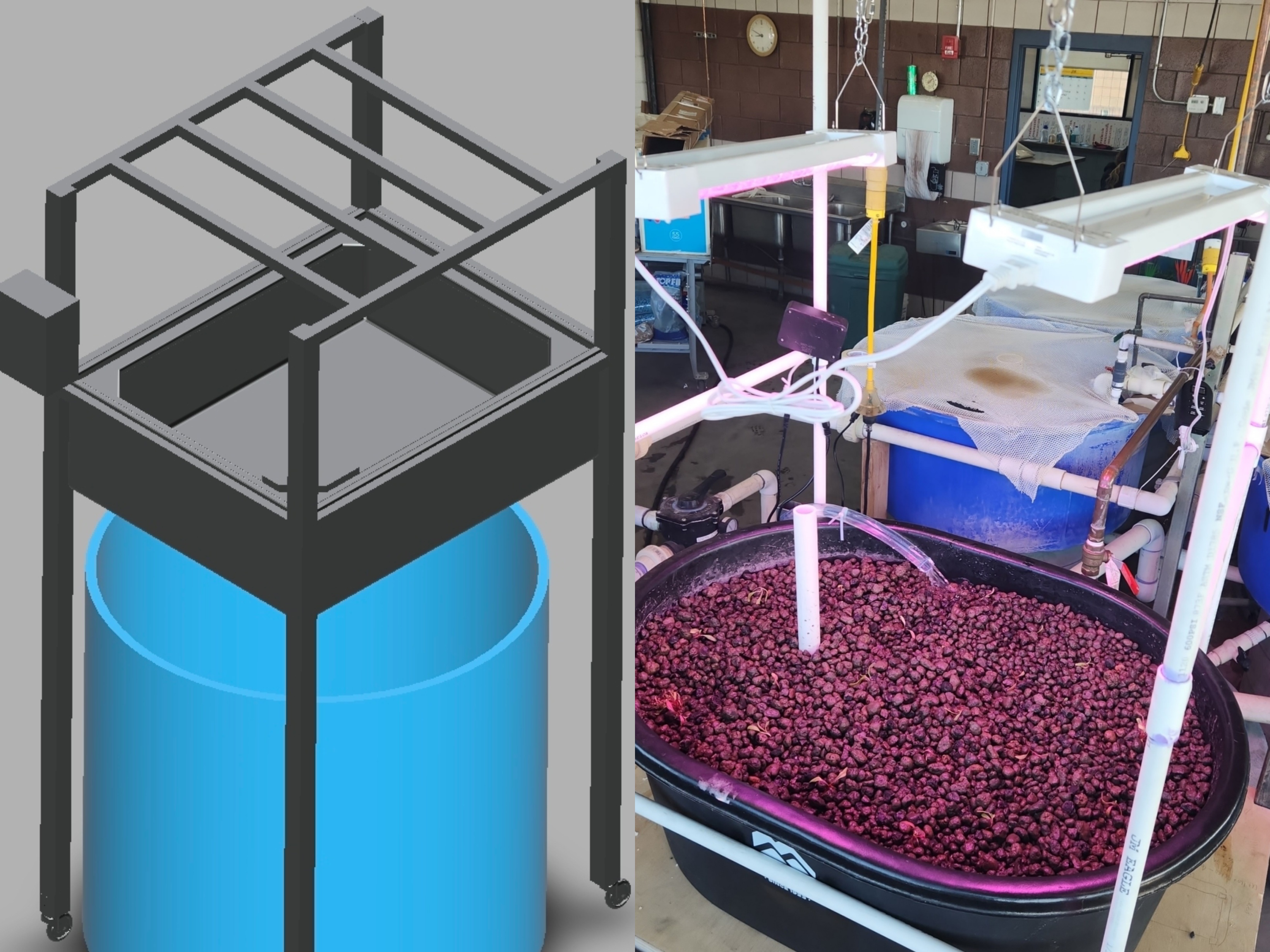 Aquaponics System