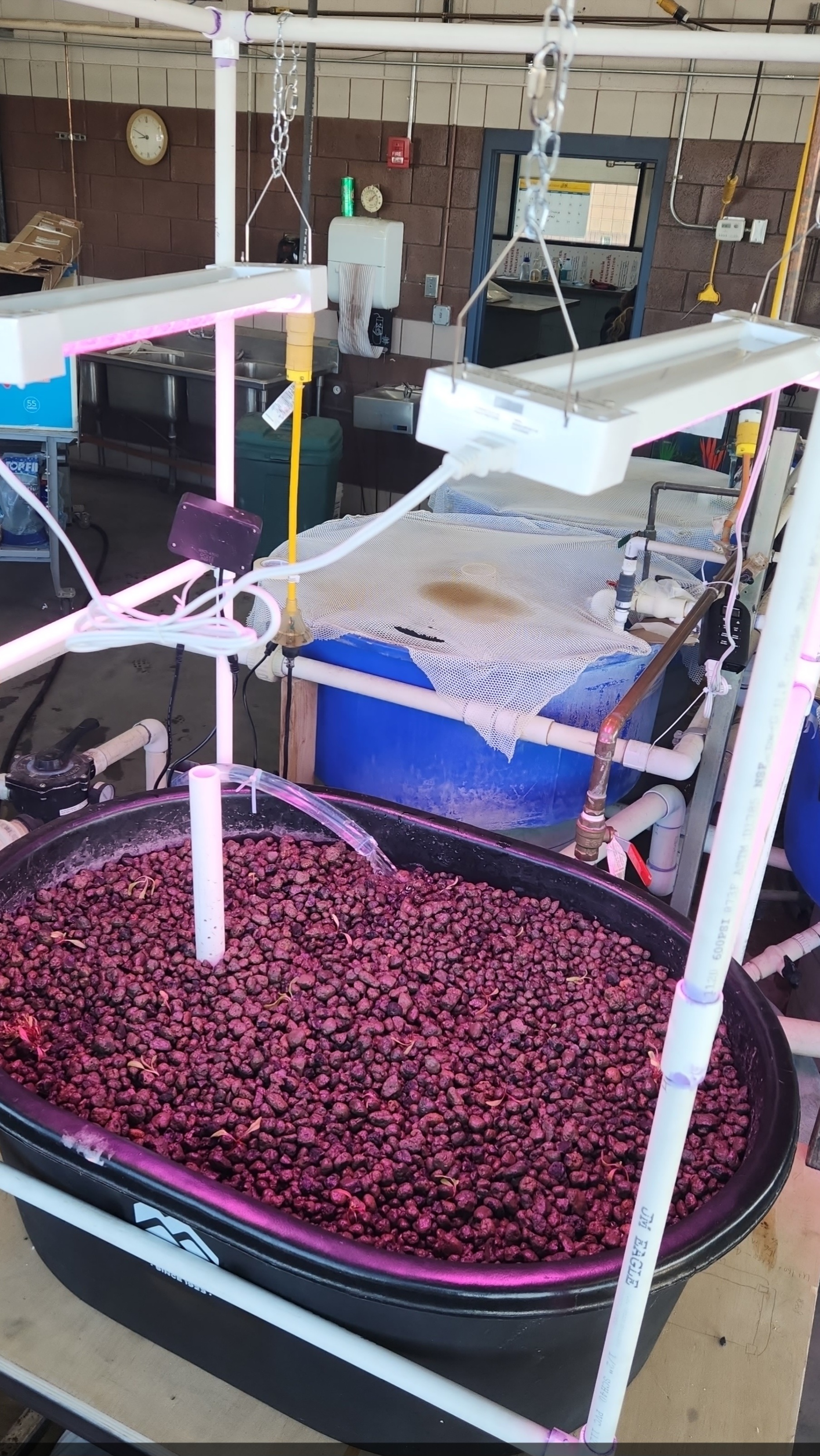 Completed aquaponics system